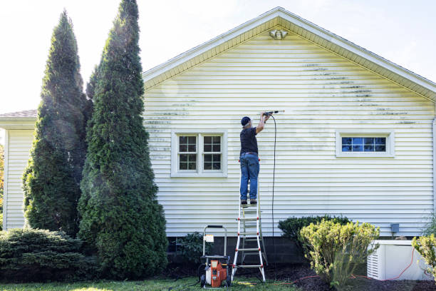 Best Gutter Cleaning  in White Castle, LA